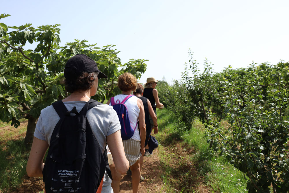 visites