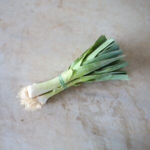 Porro (manat)
