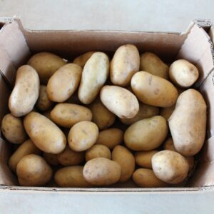 Patata - 5 kg