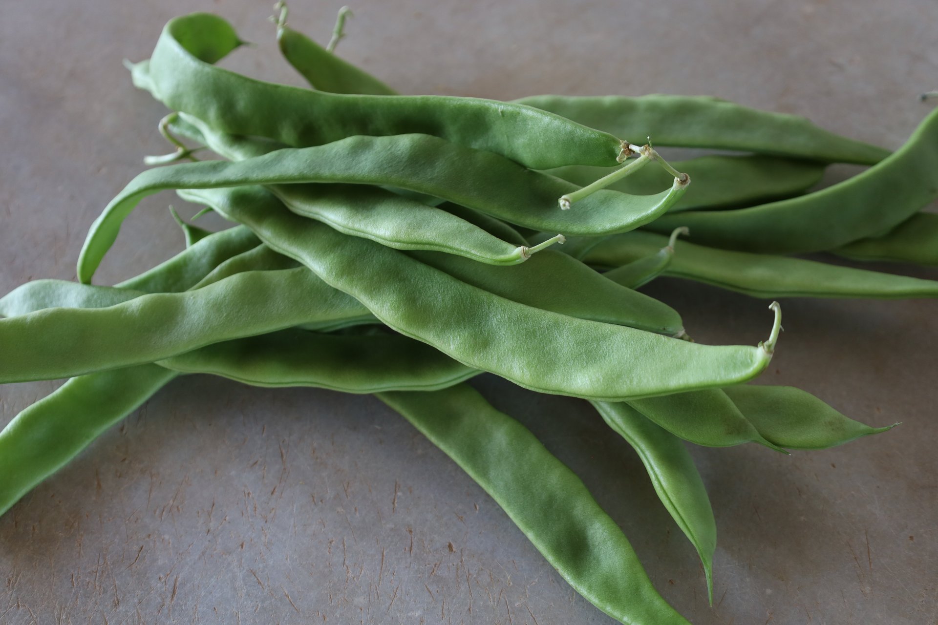 Mongeta tendre Perona - 400gr - Imatge 2