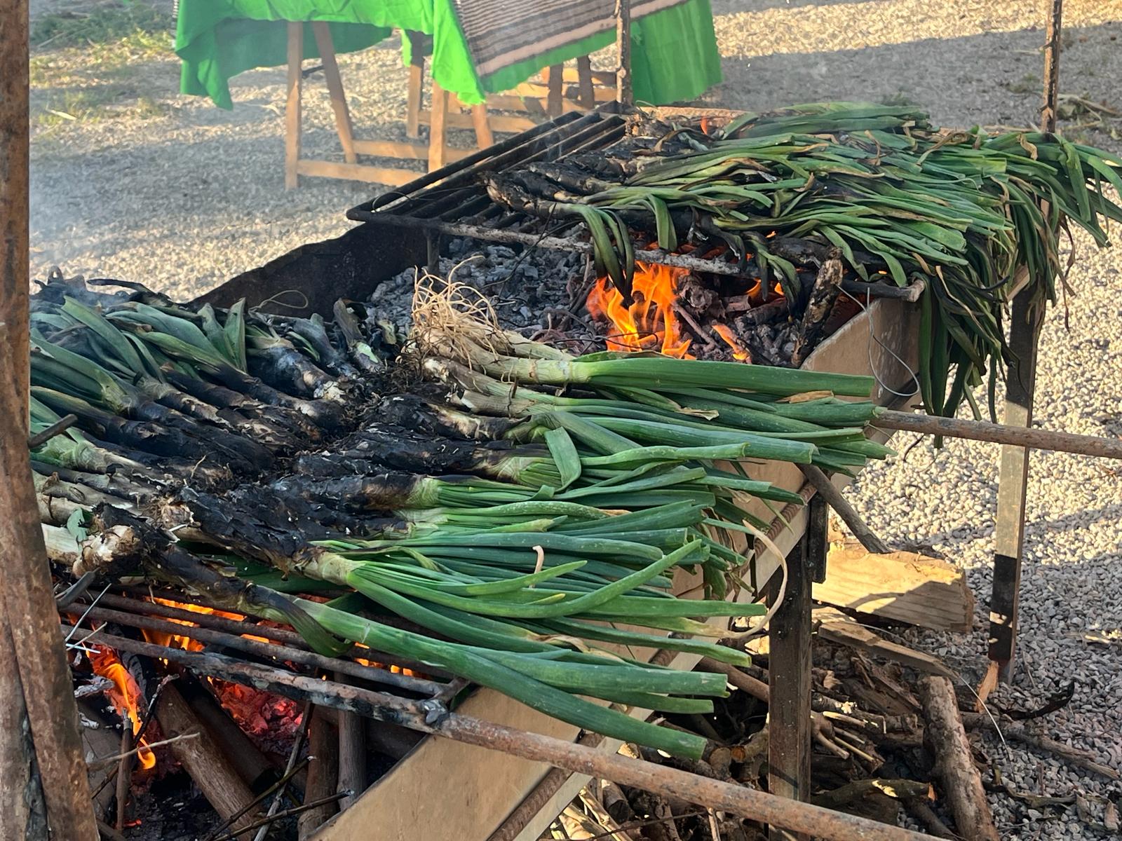 Calçots