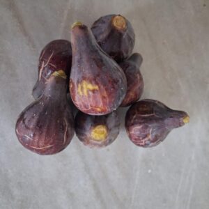 Figa Coll de Dama - Kg sencer