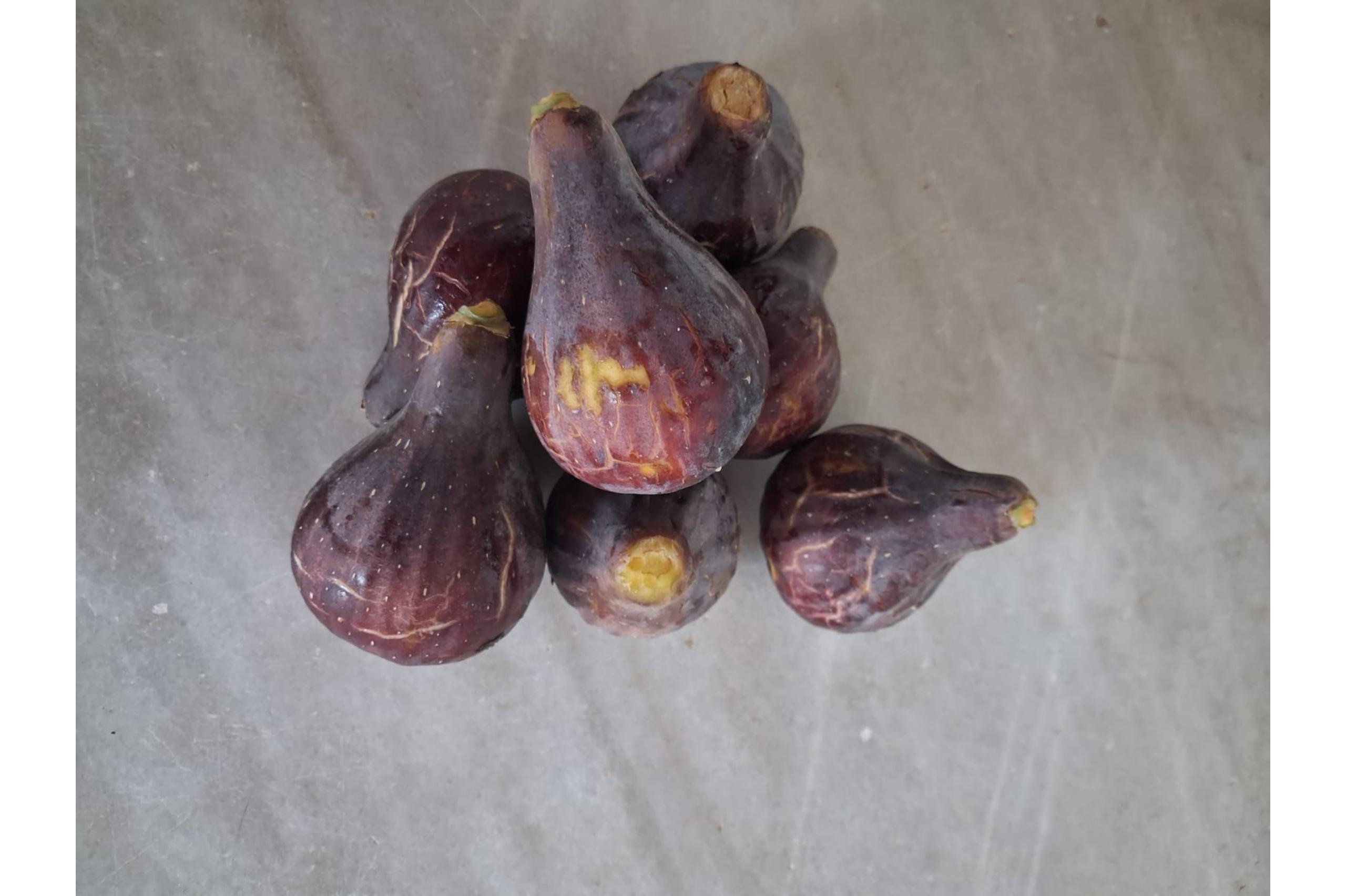Figa Coll de Dama - Kg sencer
