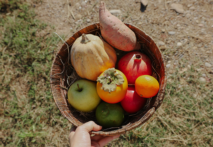 Octubre – Setmana Bio