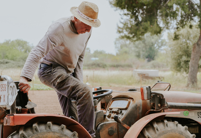 tractor-tugas